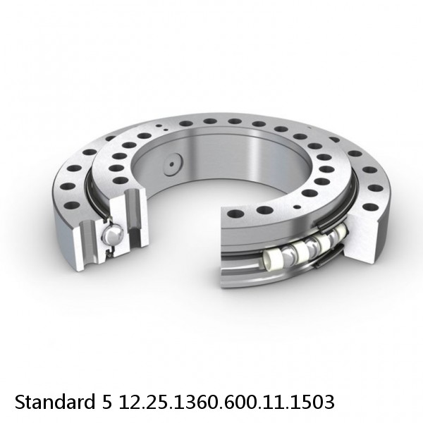 12.25.1360.600.11.1503 Standard 5 Slewing Ring Bearings