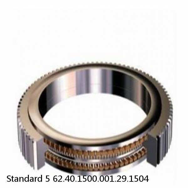 62.40.1500.001.29.1504 Standard 5 Slewing Ring Bearings