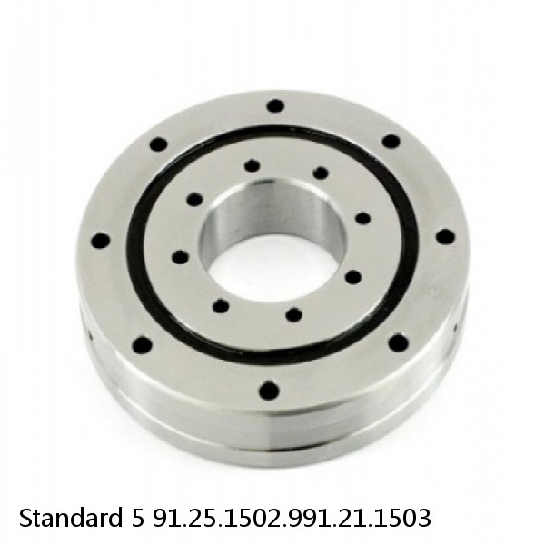 91.25.1502.991.21.1503 Standard 5 Slewing Ring Bearings