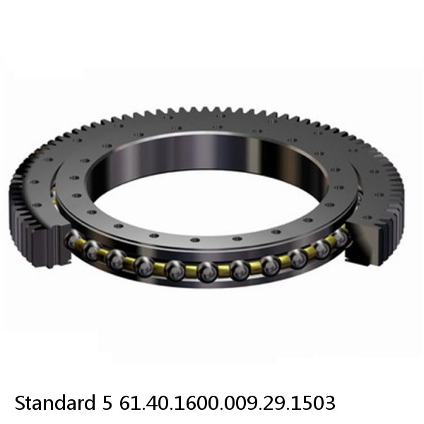 61.40.1600.009.29.1503 Standard 5 Slewing Ring Bearings