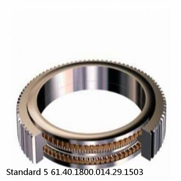 61.40.1800.014.29.1503 Standard 5 Slewing Ring Bearings