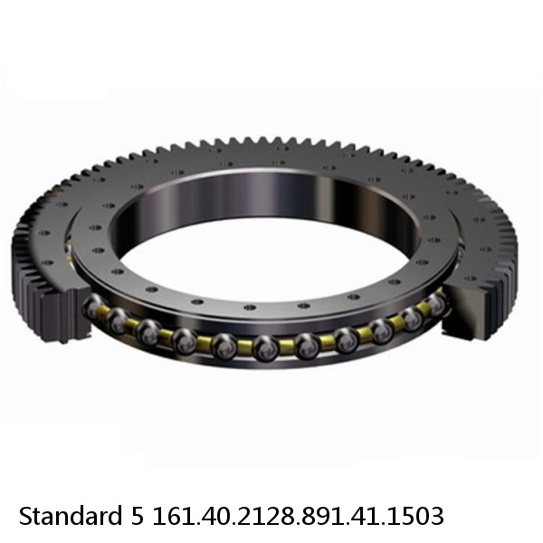 161.40.2128.891.41.1503 Standard 5 Slewing Ring Bearings