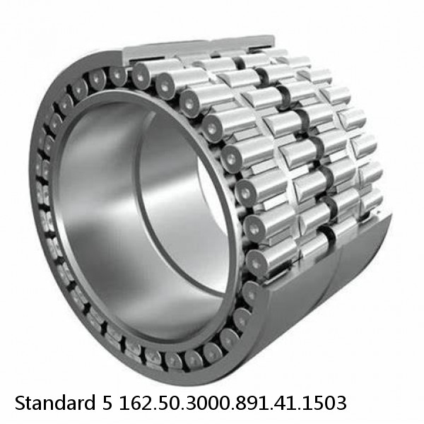 162.50.3000.891.41.1503 Standard 5 Slewing Ring Bearings