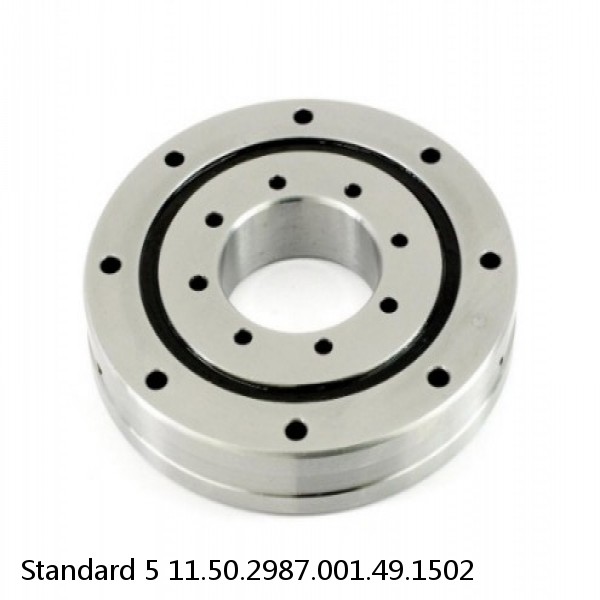 11.50.2987.001.49.1502 Standard 5 Slewing Ring Bearings