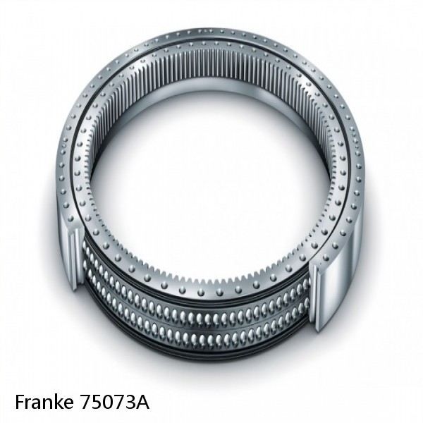 75073A Franke Slewing Ring Bearings