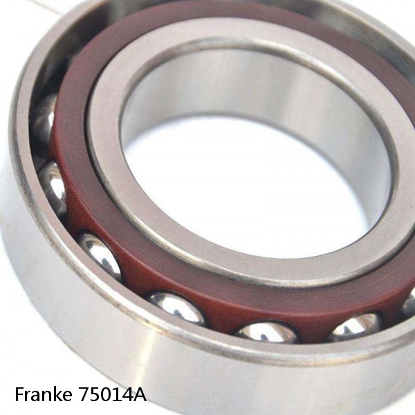 75014A Franke Slewing Ring Bearings