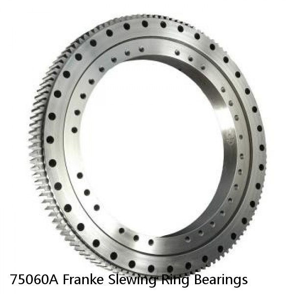 75060A Franke Slewing Ring Bearings