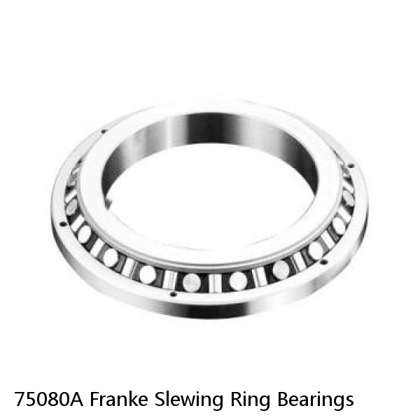 75080A Franke Slewing Ring Bearings