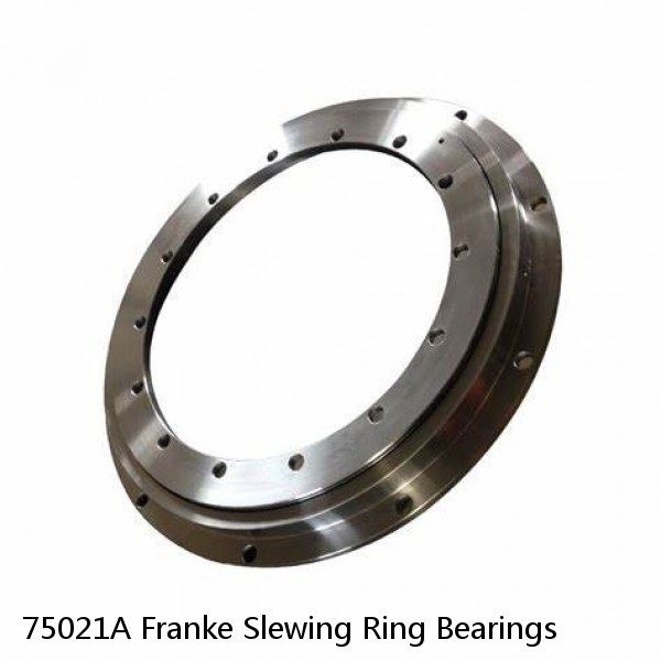 75021A Franke Slewing Ring Bearings