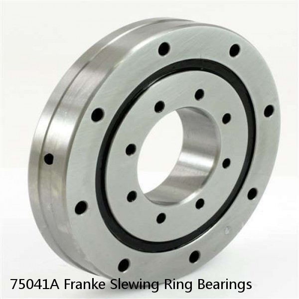 75041A Franke Slewing Ring Bearings