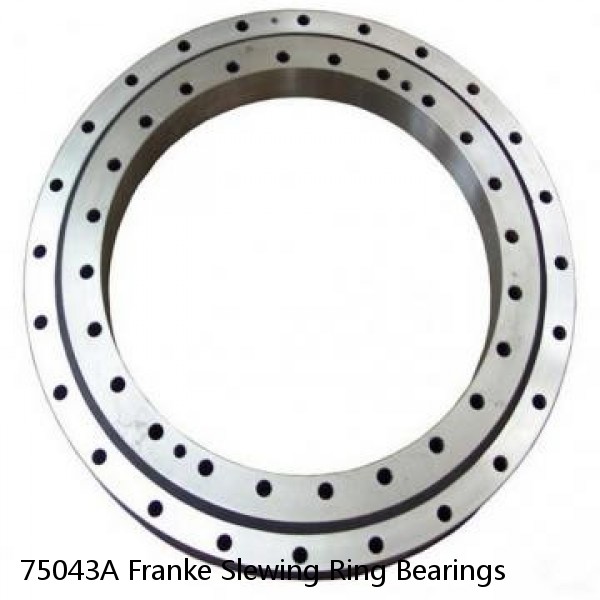 75043A Franke Slewing Ring Bearings