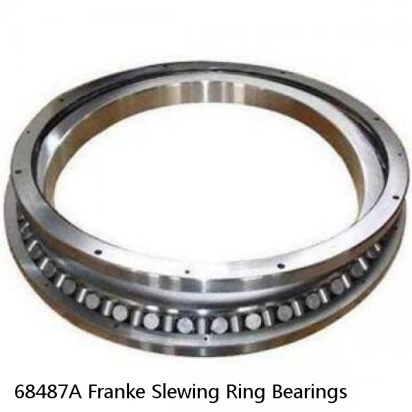 68487A Franke Slewing Ring Bearings