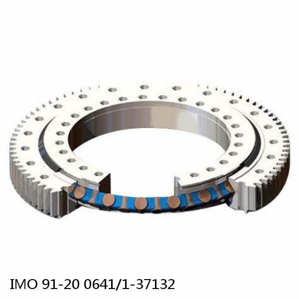 91-20 0641/1-37132 IMO Slewing Ring Bearings