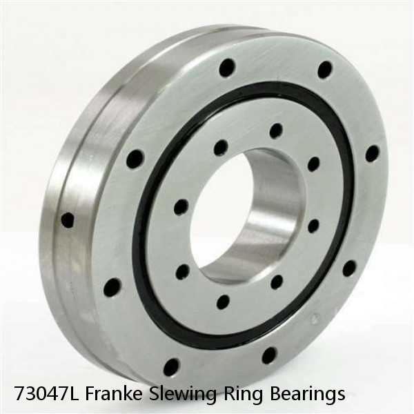 73047L Franke Slewing Ring Bearings